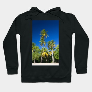 Coconut Palms on Tropical Island Hoodie